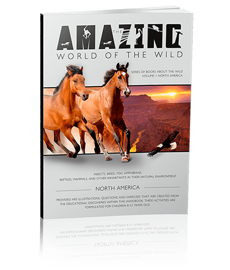 The cover of The Amazing World of The Wild