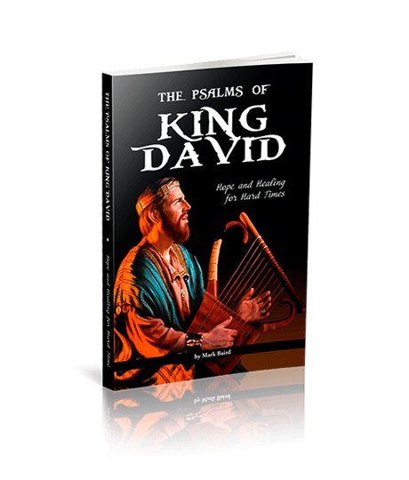 The cover of The Psalms of King David book