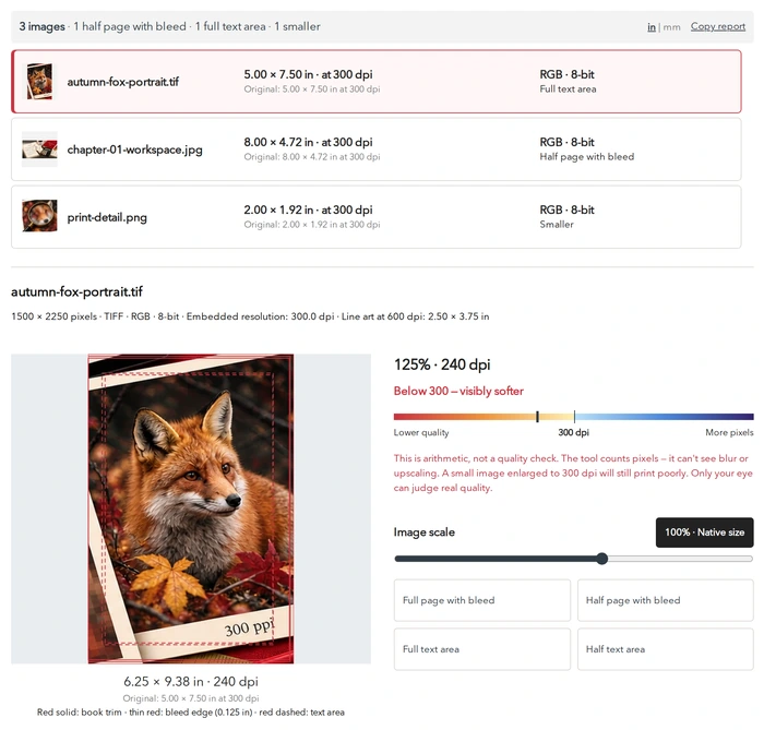 List of checked images with print sizes at 300 dpi, colour modes and page placements